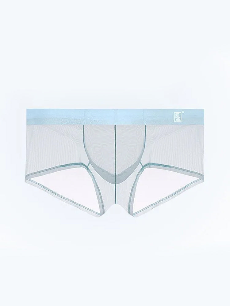 Men’s Sheer Mesh Trunks with U-Shaped Support Pouch