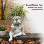 Funny French Bulldog Planter – Sassy Dog Statue Flower Pot For Home & Desk Decor