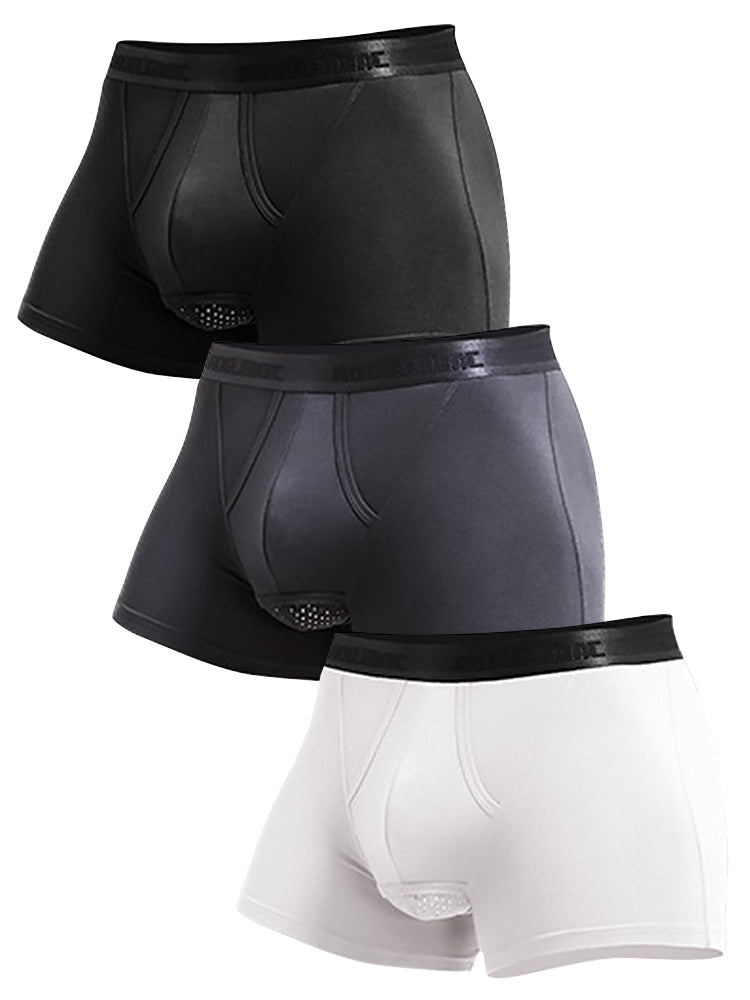 3 Pack Men's Separated Pouch Mesh Support Trunks