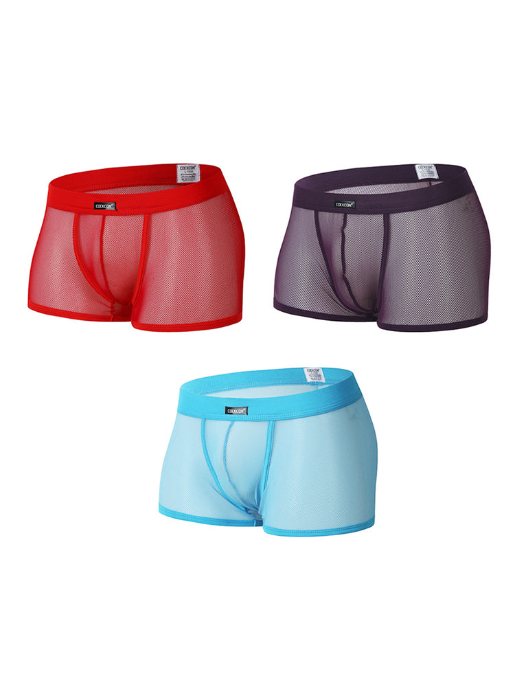 Men's Sexy Transparent Mesh Trunks