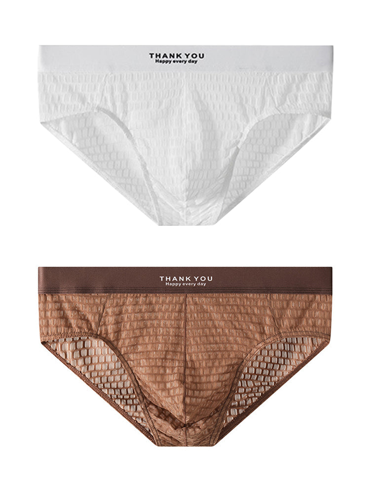 2 Pack Men's Soft & Breathable Icy Silk Quick-Dry Mid-Rise Comfort Cooling Briefs