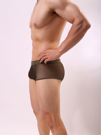 Men's Sexy Transparent Mesh Trunks