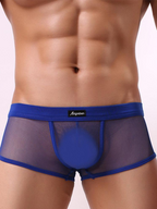 Men's Sexy Transparent Mesh Trunks