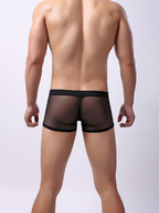 Men's Sexy Transparent Mesh Trunks
