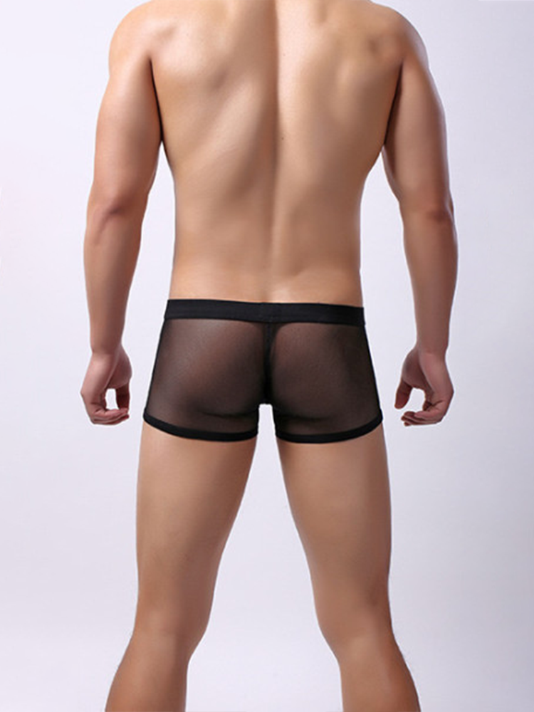 Men's Sexy Transparent Mesh Trunks